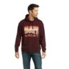 Ariat Men's Basic Malbec Southwest Scenic Hoodie 10037262 -Ariat F21 MNS WEST 10037262